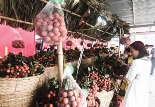 Có nguồn gốc, nông sản sẽ giá trị hơn