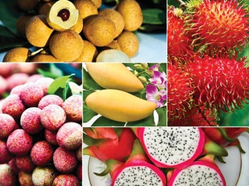 Nông sản Việt vẫn “loay hoay” với chuyện thương hiệu Nông sản Việt vẫn “loay hoay” với chuyện thương hiệu