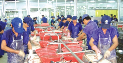 Ngành cá tra trước cơ hội lớn