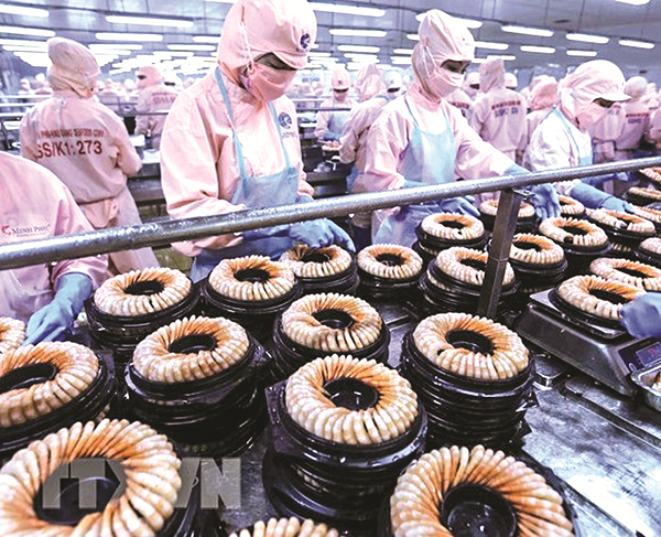 Hỗ trợ mạnh mẽ xuất khẩu nông sản vào EU Hỗ trợ mạnh mẽ xuất khẩu nông sản vào EU