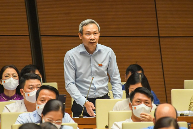 dai bieu phan duc hieu can chi tiet hon cac giai phap de thuc hien muc tieu kep