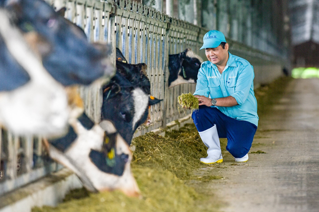 Vinamilk tiếp nhận thành công hơn 1.500 bò sữa nhập từ Mỹ về các Green Farm vinamilk tiep nhan thanh cong hon 1500 bo sua nhap tu my ve cac green farm