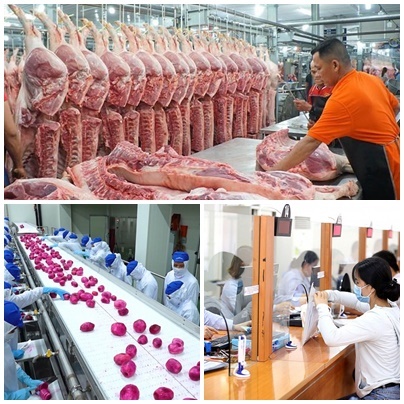 Chỉ đạo, điều hành của Chính phủ, Thủ tướng Chính phủ nổi bật tuần từ 18-22/7/2022