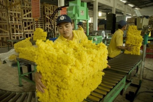 Vì sao phải nhập khẩu cao su?