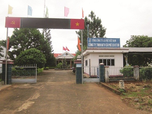 Công bố kết luận thanh tra tại các Công ty cà phê ở Cư Kuin (Đắk Lắk): Còn nhiều điểm chưa chính xác Công bố kết luận thanh tra tại các Công ty cà phê ở Cư Kuin (Đắk Lắk): Còn nhiều điểm chưa chính xác