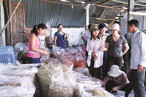 Khi đồng vốn ưu đãi của VBSP… “nở hoa”