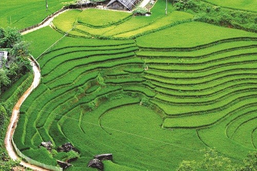 Có một nốt trầm nơi ấy...