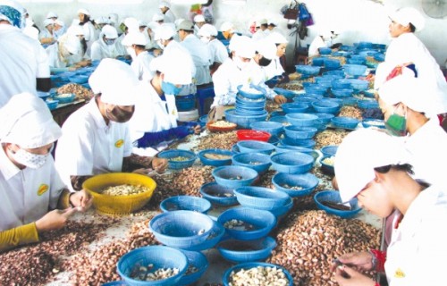 Bài toán phụ thuộc nông sản nhập