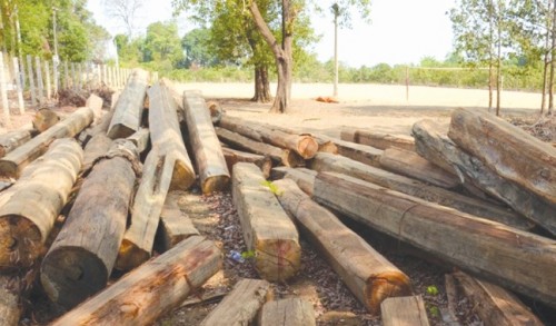 Gỗ lậu vẫn “nóng”... Gỗ lậu vẫn “nóng”...