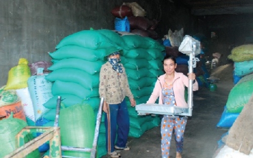 Tái cơ cấu, nâng cao hiệu quả hoạt động Tái cơ cấu, nâng cao hiệu quả hoạt động