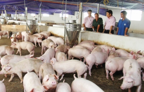 Khi Chỉ thị “bốn mươi” đi vào cuộc sống Khi Chỉ thị “bốn mươi” đi vào cuộc sống