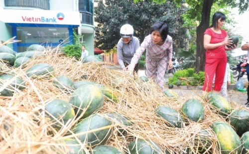Giải bài toán tiêu thụ sản phẩm cho nông dân