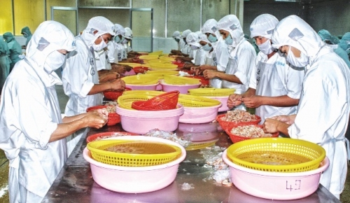 Thủy sản xuất khẩu: Nỗi lo nguồn nguyên liệu