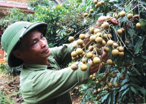 Gian nan con đường giảm nghèo bền vững