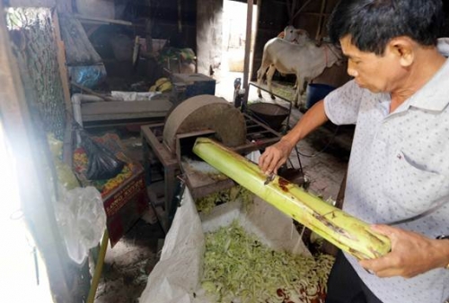 Vốn ưu đãi giúp đồng bào thiểu số thoát nghèo