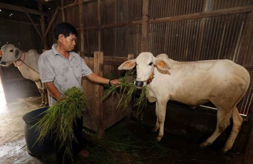 Vốn ưu đãi giúp đồng bào thiểu số thoát nghèo