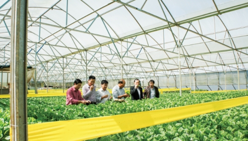 NHHT Thanh Hóa: Cộng hưởng sức mạnh cho QTDND thành viên NHHT Thanh Hóa: Cộng hưởng sức mạnh cho QTDND thành viên