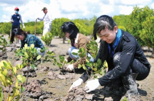 Không hy sinh môi trường cho những lợi ích ngắn hạn
