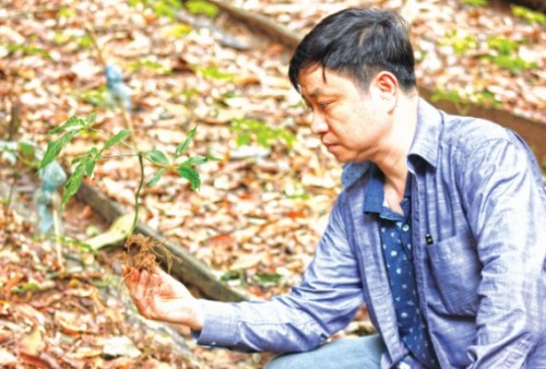 “Cú hích” cho Sâm Ngọc Linh