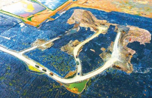 Câu chuyện của rác