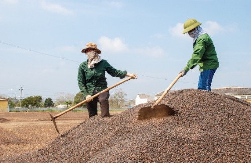 Cần thiết lập thị trường bền vững