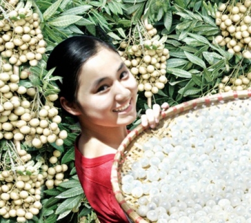 Giữ thương hiệu cho nhãn lồng Hưng Yên