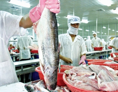 Giành lại thị trường xuất khẩu chính