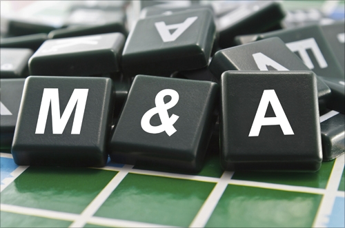 M&A sẽ tạo nên thành công