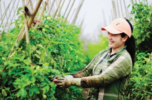 Truy xuất nguồn gốc thực phẩm: Tín hiệu vui cho một thị trường sạch