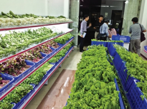 Rau quả “giậm chân” ở thị trường khó tính