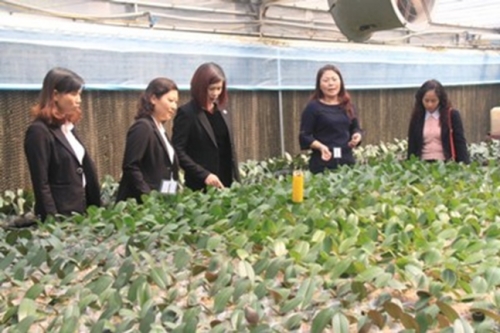 Tài chính vi mô: Bệ phóng cho công cuộc xóa đói giảm nghèo