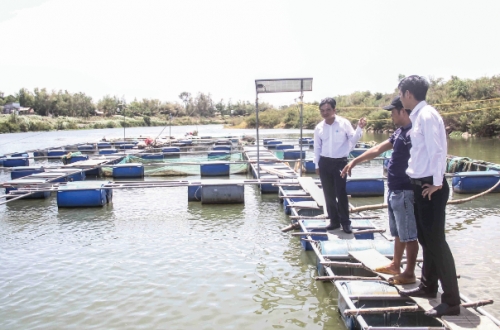 Gieo vốn trên miền đất võ Gieo vốn trên miền đất võ