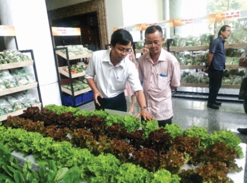 Tín dụng thúc đẩy kinh tế tập thể