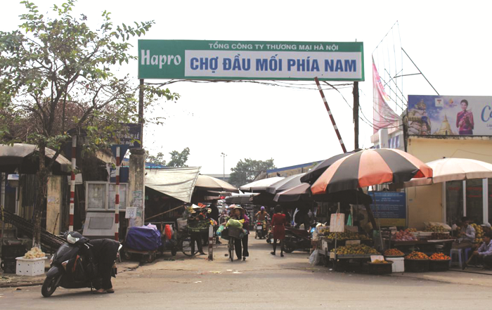 Kênh bán hàng truyền thống vẫn chiếm lĩnh thị trường