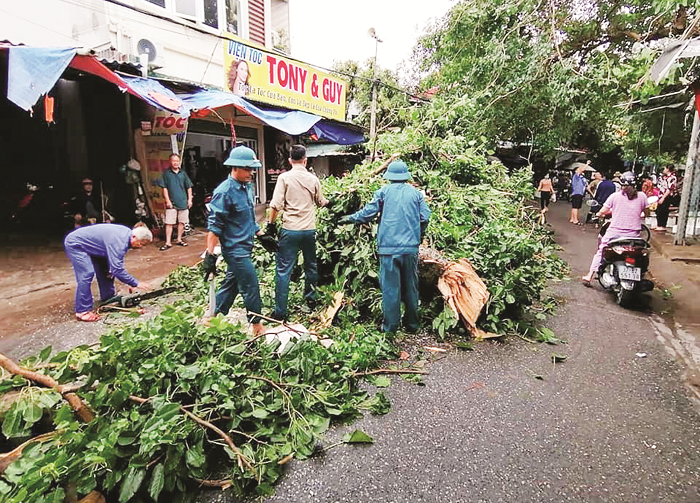 Miền Trung khắc phục hậu quả bão số 5