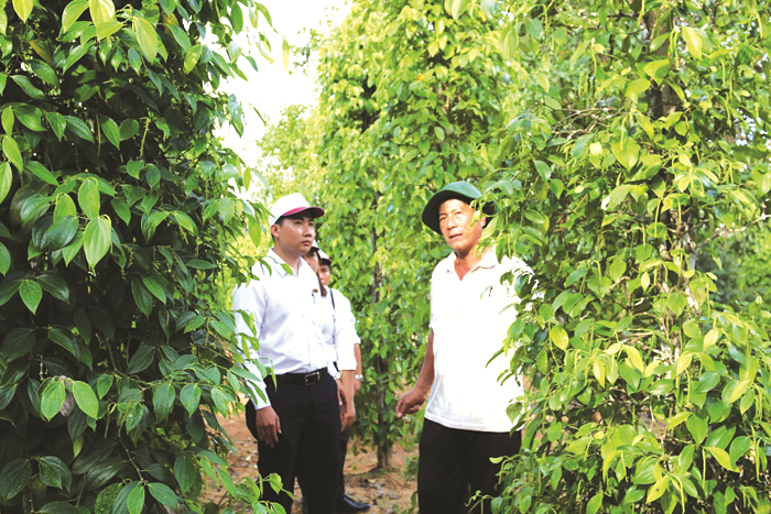 Agribank tích cực hỗ trợ khách hàng vượt qua đại dịch