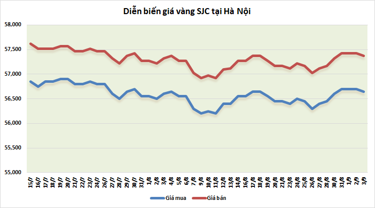 thi truong vang ngay 39