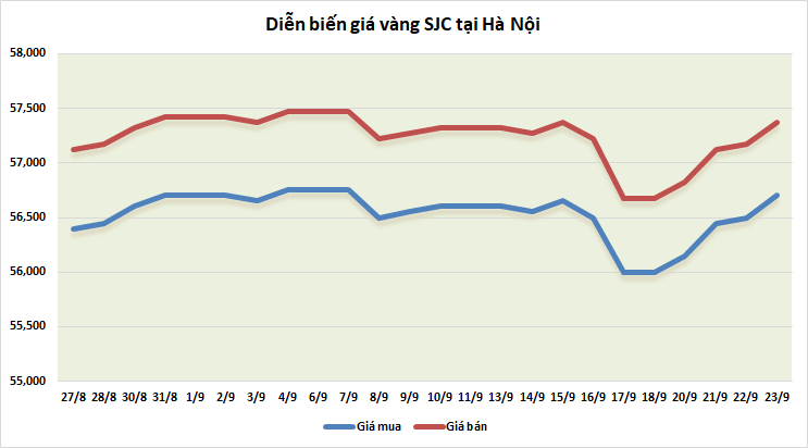 thi truong vang ngay 239