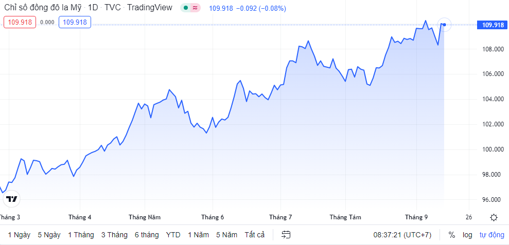 ty gia sang 149 ty gia trung tam tang tro lai