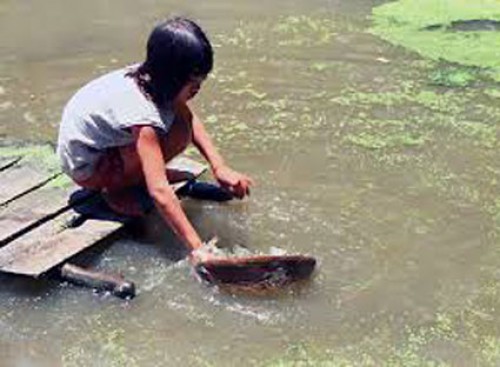 Chiếc cầu ao quê nhà Chiếc cầu ao quê nhà