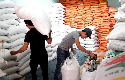 Trợ lực ngành gạo tái cấu trúc