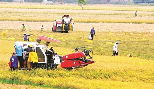 CNH – HĐH nông nghiệp, nông thôn: Cần những đột phá để phát triển bền vững