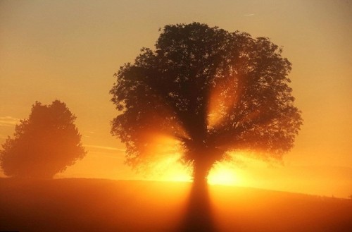 Bầu trời mùa thu Bầu trời mùa thu