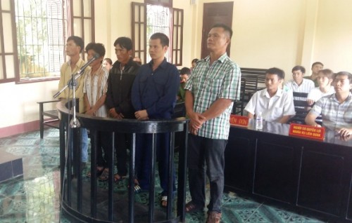 Nghịch lý từ một vụ phá rừng