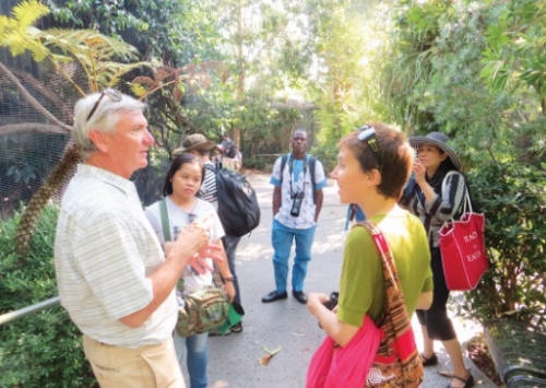 Một biểu tượng độc đáo của Đà Nẵng