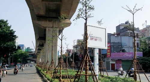 Cho Thủ đô thêm xanh