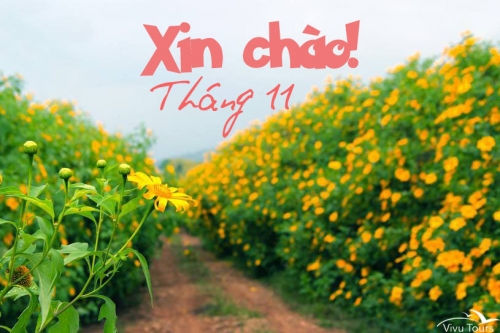 Tháng mười một yêu thương! Tháng mười một yêu thương!