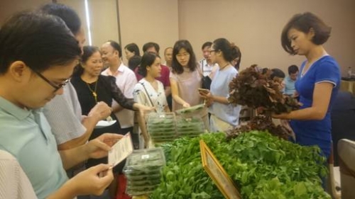 Tạo đầu ra ổn định cho sản phẩm vùng miền