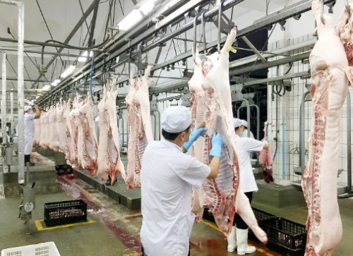 Thịt heo nhập khẩu so kè với hàng nội