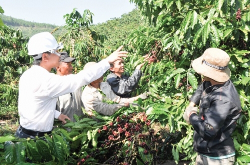 Cà phê nội lấy lại phong độ